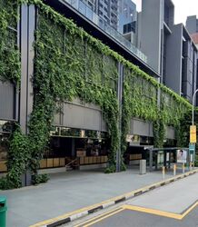 Middle Road (D7), Retail #595217361